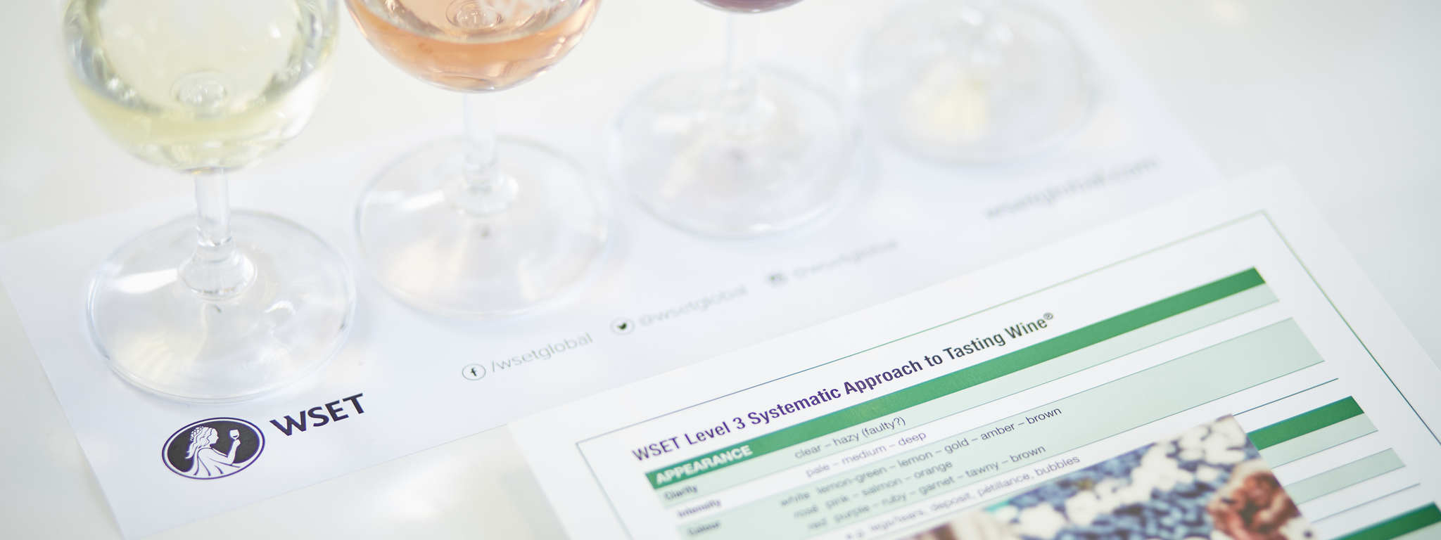 Wine & Spirit Education Trust (WSET) Americas